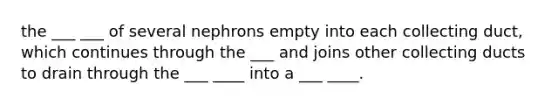 the ___ ___ of several nephrons empty into each collecting duct, which continues through the ___ and joins other collecting ducts to drain through the ___ ____ into a ___ ____.