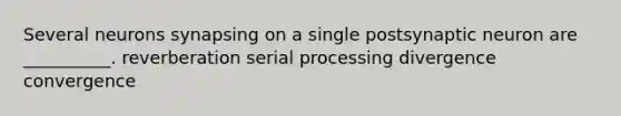 Several neurons synapsing on a single postsynaptic neuron are __________. reverberation serial processing divergence convergence