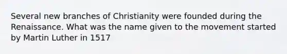 Several new branches of Christianity were founded during the Renaissance. What was the name given to the movement started by Martin Luther in 1517