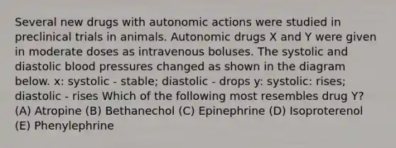 Several new drugs with autonomic actions were studied in preclinical trials in animals. Autonomic drugs X and Y were given in moderate doses as intravenous boluses. The systolic and diastolic blood pressures changed as shown in the diagram below. x: systolic - stable; diastolic - drops y: systolic: rises; diastolic - rises Which of the following most resembles drug Y? (A) Atropine (B) Bethanechol (C) Epinephrine (D) Isoproterenol (E) Phenylephrine