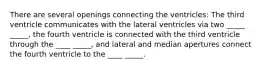 There are several openings connecting the ventricles: The third ventricle communicates with the lateral ventricles via two _____ _____, the fourth ventricle is connected with the third ventricle through the ____ _____, and lateral and median apertures connect the fourth ventricle to the ____ _____.