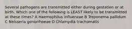 Several pathogens are transmitted either during gestation or at birth. Which one of the following is LEAST likely to be transmitted at these times? A Haemophilus influenzae B Treponema pallidum C Neisseria gonorrhoeae D Chlamydia trachomatis