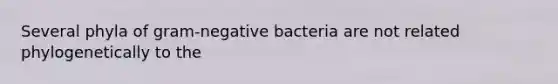 Several phyla of gram-negative bacteria are not related phylogenetically to the