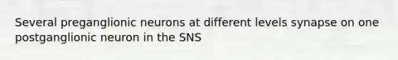 Several preganglionic neurons at different levels synapse on one postganglionic neuron in the SNS