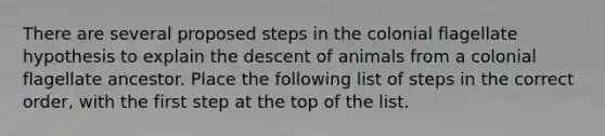 There are several proposed steps in the colonial flagellate hypothesis to explain the descent of animals from a colonial flagellate ancestor. Place the following list of steps in the correct order, with the first step at the top of the list.