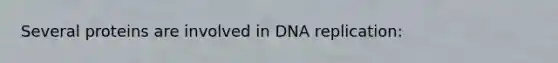 Several proteins are involved in DNA replication: