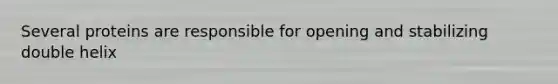 Several proteins are responsible for opening and stabilizing double helix