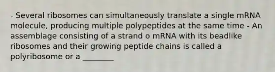 - Several ribosomes can simultaneously translate a single mRNA molecule, producing multiple polypeptides at the same time - An assemblage consisting of a strand o mRNA with its beadlike ribosomes and their growing peptide chains is called a polyribosome or a ________