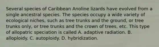 Several species of Caribbean Anoline lizards have evolved from a single ancestral species. The species occupy a wide variety of ecological niches, such as tree trunks and the ground, or tree trunks only, or tree trunks and the crown of trees, etc. This type of allopatric speciation is called A. adaptive radiation. B. alloploidy. C. autoploidy. D. hybridization.