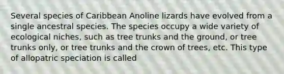 Several species of Caribbean Anoline lizards have evolved from a single ancestral species. The species occupy a wide variety of ecological niches, such as tree trunks and the ground, or tree trunks only, or tree trunks and the crown of trees, etc. This type of allopatric speciation is called