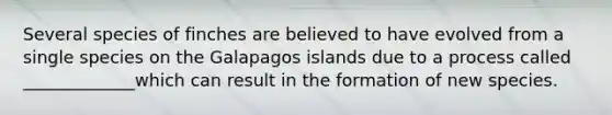 Several species of finches are believed to have evolved from a single species on the Galapagos islands due to a process called _____________which can result in the formation of new species.