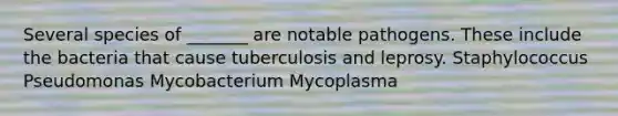 Several species of _______ are notable pathogens. These include the bacteria that cause tuberculosis and leprosy. Staphylococcus Pseudomonas Mycobacterium Mycoplasma