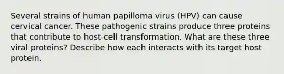 Several strains of human papilloma virus (HPV) can cause cervical cancer. These pathogenic strains produce three proteins that contribute to host-cell transformation. What are these three viral proteins? Describe how each interacts with its target host protein.