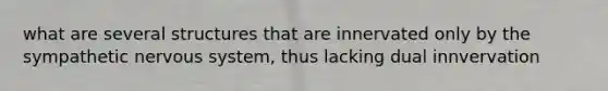 what are several structures that are innervated only by the sympathetic nervous system, thus lacking dual innvervation