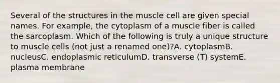 Several of the structures in the muscle cell are given special names. For example, the cytoplasm of a muscle fiber is called the sarcoplasm. Which of the following is truly a unique structure to muscle cells (not just a renamed one)?A. cytoplasmB. nucleusC. endoplasmic reticulumD. transverse (T) systemE. plasma membrane