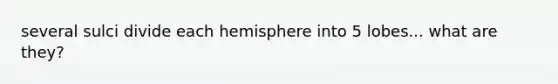 several sulci divide each hemisphere into 5 lobes... what are they?