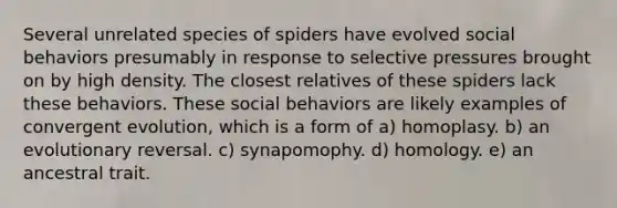 Several unrelated species of spiders have evolved social behaviors presumably in response to selective pressures brought on by high density. The closest relatives of these spiders lack these behaviors. These social behaviors are likely examples of convergent evolution, which is a form of a) homoplasy. b) an evolutionary reversal. c) synapomophy. d) homology. e) an ancestral trait.