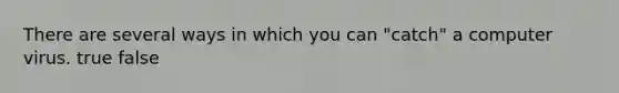 There are several ways in which you can "catch" a computer virus. true false