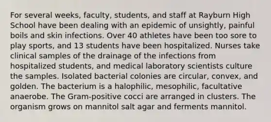 For several weeks, faculty, students, and staff at Rayburn High School have been dealing with an epidemic of unsightly, painful boils and skin infections. Over 40 athletes have been too sore to play sports, and 13 students have been hospitalized. Nurses take clinical samples of the drainage of the infections from hospitalized students, and medical laboratory scientists culture the samples. Isolated bacterial colonies are circular, convex, and golden. The bacterium is a halophilic, mesophilic, facultative anaerobe. The Gram-positive cocci are arranged in clusters. The organism grows on mannitol salt agar and ferments mannitol.