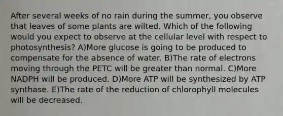 After several weeks of no rain during the summer, you observe that leaves of some plants are wilted. Which of the following would you expect to observe at the cellular level with respect to photosynthesis? A)More glucose is going to be produced to compensate for the absence of water. B)The rate of electrons moving through the PETC will be greater than normal. C)More NADPH will be produced. D)More ATP will be synthesized by ATP synthase. E)The rate of the reduction of chlorophyll molecules will be decreased.