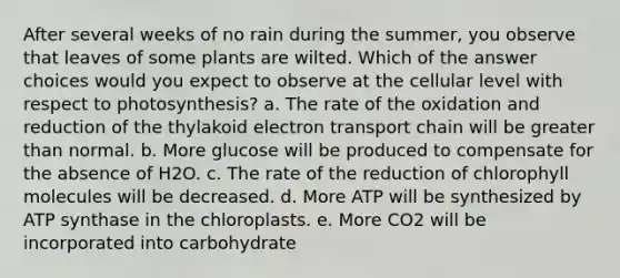 After several weeks of no rain during the summer, you observe that leaves of some plants are wilted. Which of the answer choices would you expect to observe at the cellular level with respect to photosynthesis? a. The rate of the oxidation and reduction of the thylakoid electron transport chain will be greater than normal. b. More glucose will be produced to compensate for the absence of H2O. c. The rate of the reduction of chlorophyll molecules will be decreased. d. More ATP will be synthesized by ATP synthase in the chloroplasts. e. More CO2 will be incorporated into carbohydrate