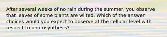 After several weeks of no rain during the summer, you observe that leaves of some plants are wilted. Which of the answer choices would you expect to observe at the cellular level with respect to photosynthesis?