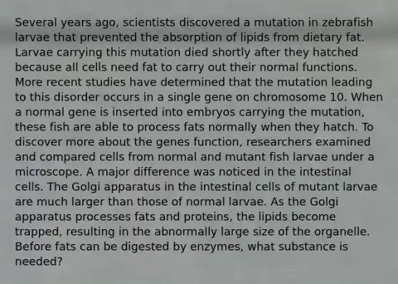 Several years ago, scientists discovered a mutation in zebrafish larvae that prevented the absorption of lipids from dietary fat. Larvae carrying this mutation died shortly after they hatched because all cells need fat to carry out their normal functions. More recent studies have determined that the mutation leading to this disorder occurs in a single gene on chromosome 10. When a normal gene is inserted into embryos carrying the mutation, these fish are able to process fats normally when they hatch. To discover more about the genes function, researchers examined and compared cells from normal and mutant fish larvae under a microscope. A major difference was noticed in the intestinal cells. The Golgi apparatus in the intestinal cells of mutant larvae are much larger than those of normal larvae. As the Golgi apparatus processes fats and proteins, the lipids become trapped, resulting in the abnormally large size of the organelle. Before fats can be digested by enzymes, what substance is needed?