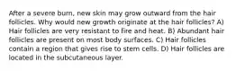 After a severe burn, new skin may grow outward from the hair follicles. Why would new growth originate at the hair follicles? A) Hair follicles are very resistant to fire and heat. B) Abundant hair follicles are present on most body surfaces. C) Hair follicles contain a region that gives rise to stem cells. D) Hair follicles are located in the subcutaneous layer.