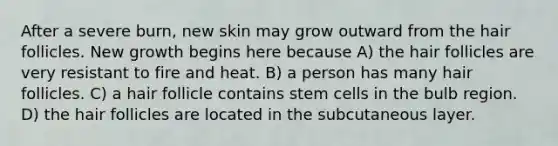 After a severe burn, new skin may grow outward from the hair follicles. New growth begins here because A) the hair follicles are very resistant to fire and heat. B) a person has many hair follicles. C) a hair follicle contains stem cells in the bulb region. D) the hair follicles are located in the subcutaneous layer.