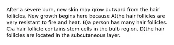 After a severe burn, new skin may grow outward from the hair follicles. New growth begins here because A)the hair follicles are very resistant to fire and heat. B)a person has many hair follicles. C)a hair follicle contains stem cells in the bulb region. D)the hair follicles are located in the subcutaneous layer.