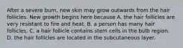 After a severe burn, new skin may grow outwards from the hair follicles. New growth begins here because A. the hair follicles are very resistant to fire and heat. B. a person has many hair follicles. C. a hair follicle contains stem cells in the bulb region. D. the hair follicles are located in the subcutaneous layer.