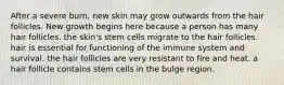 After a severe burn, new skin may grow outwards from the hair follicles. New growth begins here because a person has many hair follicles. the skin's stem cells migrate to the hair follicles. hair is essential for functioning of the immune system and survival. the hair follicles are very resistant to fire and heat. a hair follicle contains stem cells in the bulge region.