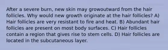 After a severe burn, new skin may growoutward from the hair follicles. Why would new growth originate at the hair follicles? A) Hair follicles are very resistant to fire and heat. B) Abundant hair follicles are present on most body surfaces. C) Hair follicles contain a region that gives rise to stem cells. D) Hair follicles are located in the subcutaneous layer.