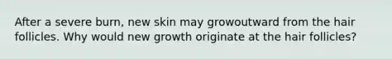 After a severe burn, new skin may growoutward from the hair follicles. Why would new growth originate at the hair follicles?