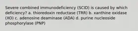 Severe combined immunodeficiency (SCID) is caused by which deficiency? a. thioredoxin reductase (TRR) b. xanthine oxidase (XO) c. adenosine deaminase (ADA) d. purine nucleoside phosphorylase (PNP)