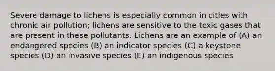 Severe damage to lichens is especially common in cities with chronic air pollution; lichens are sensitive to the toxic gases that are present in these pollutants. Lichens are an example of (A) an endangered species (B) an indicator species (C) a keystone species (D) an invasive species (E) an indigenous species