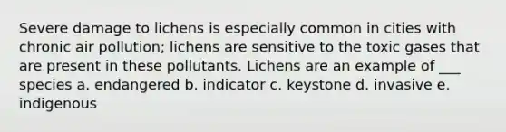 Severe damage to lichens is especially common in cities with chronic air pollution; lichens are sensitive to the toxic gases that are present in these pollutants. Lichens are an example of ___ species a. endangered b. indicator c. keystone d. invasive e. indigenous