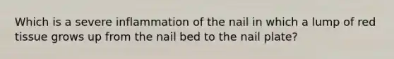 Which is a severe inflammation of the nail in which a lump of red tissue grows up from the nail bed to the nail plate?