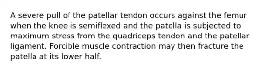 A severe pull of the patellar tendon occurs against the femur when the knee is semiflexed and the patella is subjected to maximum stress from the quadriceps tendon and the patellar ligament. Forcible muscle contraction may then fracture the patella at its lower half.