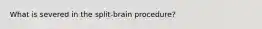 What is severed in the split-brain procedure?