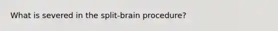 What is severed in the split-brain procedure?