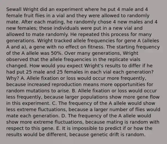 Sewall Wright did an experiment where he put 4 male and 4 female fruit flies in a vial and they were allowed to randomly mate. After each mating, he randomly chose 4 new males and 4 new females; these individuals were put in a new vial and allowed to mate randomly. He repeated this process for many generations. Wright tracked allele frequencies for gene A (alleles A and a), a gene with no effect on fitness. The starting frequency of the A allele was 50%. Over many generations, Wright observed that the allele frequencies in the replicate vials changed. How would you expect Wright's results to differ if he had put 25 male and 25 females in each vial each generation? Why? A. Allele fixation or loss would occur more frequently, because increased reproduction means more opportunities for random mutations to arise. B. Allele fixation or loss would occur less frequently, because larger populations show more gene flow in this experiment. C. The frequency of the A allele would show less extreme fluctuations, because a larger number of flies would mate each generation. D. The frequency of the A allele would show more extreme fluctuations, because mating is random with respect to this gene. E. It is impossible to predict if or how the results would be different, because genetic drift is random.