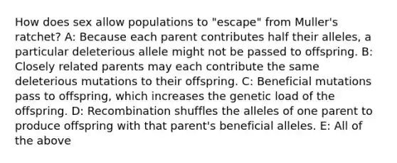 How does sex allow populations to "escape" from Muller's ratchet? A: Because each parent contributes half their alleles, a particular deleterious allele might not be passed to offspring. B: Closely related parents may each contribute the same deleterious mutations to their offspring. C: Beneficial mutations pass to offspring, which increases the genetic load of the offspring. D: Recombination shuffles the alleles of one parent to produce offspring with that parent's beneficial alleles. E: All of the above