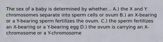 The sex of a baby is determined by whether... A.) the X and Y chromosomes separate into sperm cells or ovum B.) an X-bearing or a Y-bearing sperm fertilizes the ovum. C.) the sperm fertilizes an X-bearing or a Y-bearing egg D.) the ovum is carrying an X-chromosome or a Y-chromosome