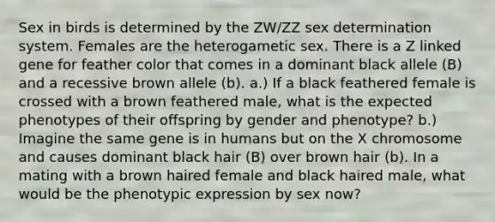 Sex in birds is determined by the ZW/ZZ sex determination system. Females are the heterogametic sex. There is a Z linked gene for feather color that comes in a dominant black allele (B) and a recessive brown allele (b). a.) If a black feathered female is crossed with a brown feathered male, what is the expected phenotypes of their offspring by gender and phenotype? b.) Imagine the same gene is in humans but on the X chromosome and causes dominant black hair (B) over brown hair (b). In a mating with a brown haired female and black haired male, what would be the phenotypic expression by sex now?