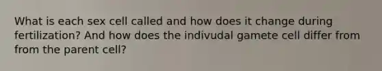 What is each sex cell called and how does it change during fertilization? And how does the indivudal gamete cell differ from from the parent cell?