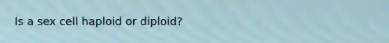 Is a sex cell haploid or diploid?