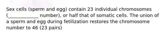 Sex cells (sperm and egg) contain 23 individual chromosomes (_____________ number), or half that of somatic cells. The union of a sperm and egg during fetilization restores the chromosome number to 46 (23 pairs)