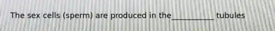 The sex cells (sperm) are produced in the___________ tubules