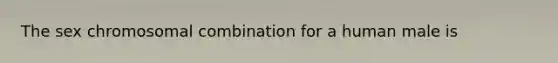 The sex chromosomal combination for a human male is